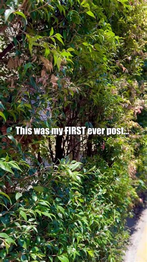 One year ago, I posted my very first video. No strategy. No plan. Just a hope that someone out there would feel better in their body. Since then… we’ve built the most beautiful community of 53,000 movers 🤍 A space where feeling good, aging well, and staying mobile is something we do together. Thank you for showing up. Thank you for moving with me. And thank you for letting me be part of your daily routine. Here’s to year 2 — feeling younger, stronger, and more mobile than ever ✨ | Stretchy Bend