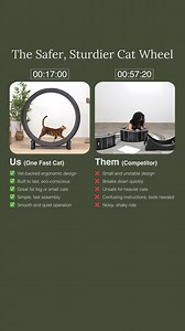 122K views | The original cat wheel: easy to set up, backed by vets, and made in the USA. Test it, spin it, love it—or send it back. Our 60-day return policy has your back. | One Fast Cat | Facebook