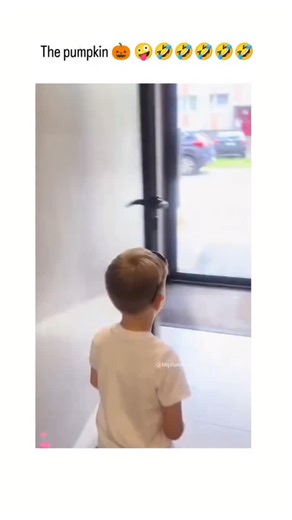 Ai Videos on Instagram: "This post shares a 62-second video compilation of comedic fails from TikTok's @topfunny account, spotlighting a whimsical pumpkin patch clip where a person awkwardly interacts with oversized pumpkins amid a swan-feeding mishap, blending autumn vibes with slapstick humor. Posted by @be_prank_star , a UK-based comedian known for curating animal-themed memes, the video's caption "The pumpkin " ties into seasonal Thanksgiving motifs while amplifying the post's viral, feel-go