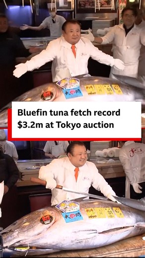 One big bluefin tuna make record 510.3 million yen ($3.2m) at di Toyosu fish market first auction of di year on Monday 5 January. Di winning bid for di 243kg fish come from Kiyomura Corp, di operator of popular sushi chain Sushi Zanmai, wey get outlets across di kontri and abroad. | BBC News Pidgin