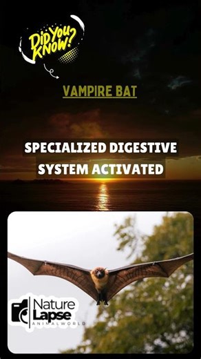 This Vampire Processes Blood Like a Factory! 🦇🏭 #BloodProcessor