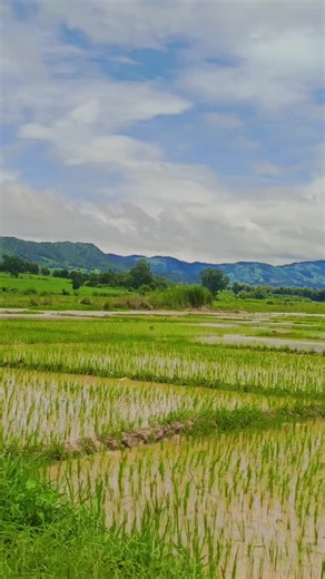 mgre သည် TikTok ပေါ်တွင် ရှိသည်