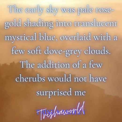 Visually impaired version! The early sky was pale rose-gold shading into translucent mystical blue, overlaid with a few soft dove-grey clouds. The addition of a few cherubs would not have surprised me. #trishaashley #morning #trishaworld #blind #visualimpairment | Trisha Ashley