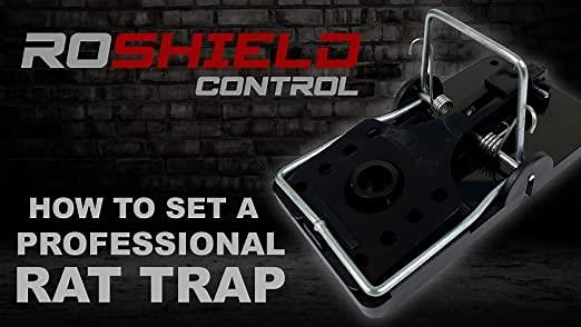 How to set the Roshield professional rat snap trap