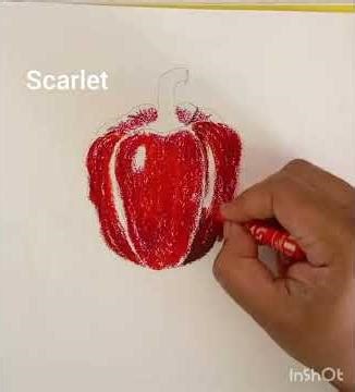 Easy capsicum drawing for beginners with oil pastels