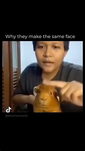 dorememes on Instagram: "In this viral clip, a woman and her pet hamster unintentionally create one of the most unintentionally perfect visual parallels ever caught on camera. The video shows the woman looking at the hamster, and within seconds, both of them make the exact same facial expression — wide-eyed, slightly blank, and oddly serious. The synchronization is so precise that it almost feels staged, but that’s what makes it even funnier. What turned this simple clip into a meme phenomenon w