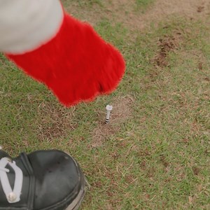 11K views · 282 reactions | Giving the people what they want ⛳️ Swinging Louie merchandise & accessories are available exclusively at ULGC beginning Nov. 2! Details: https://uofl.me/3YK0EGp #GoCards | Louisville Cardinals | Facebook