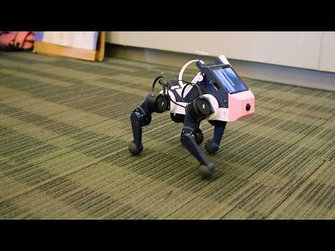 AI-powered dog robots, built by students