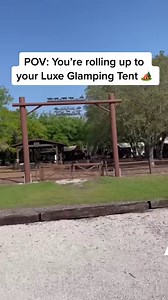 Create lasting memories this fall at Westgate River Ranch. Explore our outdoor activities - Saturday night rodeo, horseback riding, airboat rides and more! | Westgate River Ranch Resort & Rodeo