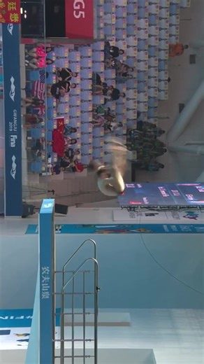 SYNCHRO DIVING #Diver #tomdaley @mattydiver