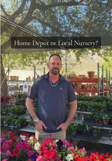 Why Local Nurseries are Better for Gardening