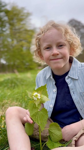 17K views · 1.7K reactions | Arthur 戮 finds and identifies Garlic...