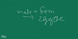 How do Organisms Reproduc(-) Fast Track Revision(iv) Budding ... | Filo