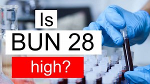 Is BUN 28 high, normal or dangerous? What does Blood urea nitrogen level 28 mean?