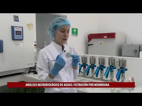 Practica de laboratorio - Análisis microbiológico de aguas potables parte 1