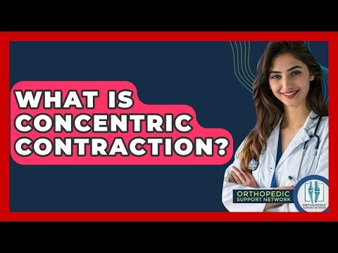 What Is Concentric Contraction? - Orthopedic Support Network