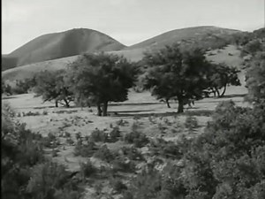 Enjoy tonight's episode of Gunsmoke named ''WISHBONE'' Festus has a habit of using the wishbone from a dead chicken for making wishes on. When he comes across Doc Adams, alone and snakebit, he uses that wish to help him, if it can. Meanwhile, Matt searches for three outlaws who held up a stage, killing the driver and guard. | Gunsmoke James Arness Marshal Matt Dillon