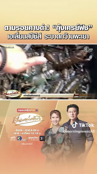 ประมงพะเยาตรวจสอบด่วน หลังพบ “กุ้งก้ามแดง” หรือ “กุ้งเครย์ฟิช” ในกว๊านพะเยา จับขายได้วันละกว่า 2 กก. นักวิชาการเตือนเป็นเอเลี่ยนสปีชีส์ ชนิดรุกรานเสี่ยงกระทบระบบนิเวศ หวั่นตามรอยปลาหมอคางดำ #เรื่องเล่าเช้านี้ #ครอบครัวข่าว3 #ข่าวช่อง3 #พะเยา #ประมง #กุ้งก้ามแดง #กุ้งเครย์ฟิช #กว๊านพะเยา #นักวิชาการ #เอเลี่ยนสปีชีส์ #ระบบนิเวศ #ปลาหมอคางดํา #ข่าวภูมิภาค