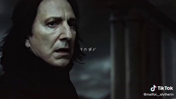 ダイ・ハードのリックマンさんが好きです。声も容姿も演技も大好きです。ご冥福をお祈りします。 #ハリーポッター #アランリックマン #ダイハード #セブルススネイプ