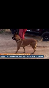 682K views · 6.6K reactions |  Nas investigações nenhuma hipótese é descartada | Victor Hugo Noticias | Facebook