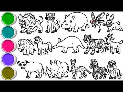 Draw Amazing Animals in Minutes Hyena, Black Panther, Hippopotamus, Dragonfly, & others