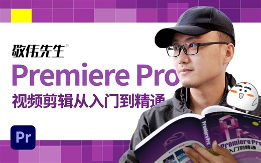 【敬伟先生】适合新手的Pr基础教程 Premiere从入门到精通（节选）