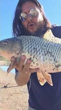Big Fish-Kennedy Lake! #fishing #carp #tucson #arizona #shorts