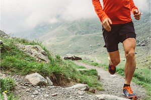 Total Knee Replacement for Athletes