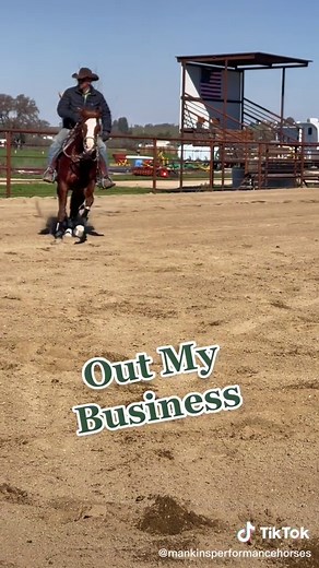 Funny Cowboy Comedy Compilation