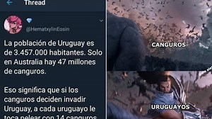 Canguros contra uruguayos: la guerra más absurda jamás imaginada, en un hilo de Twitter