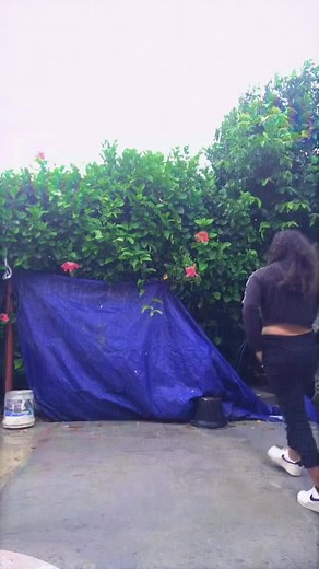 titi nopaw sur TikTok