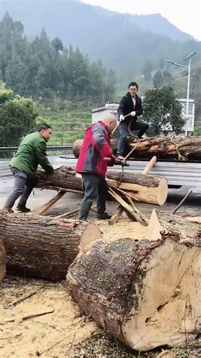 No Crane, No Problem: Loading Logs the Smart Way