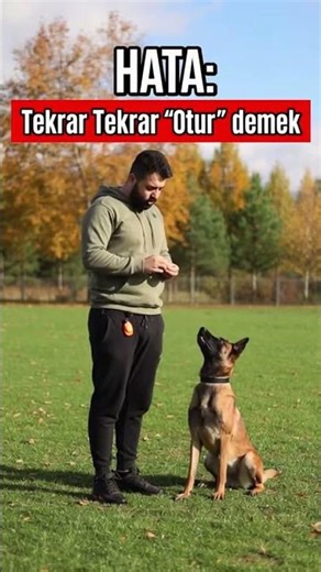 Dog Training Micro Lessons | Kopek egitimi kisa dersler | Mikro ders