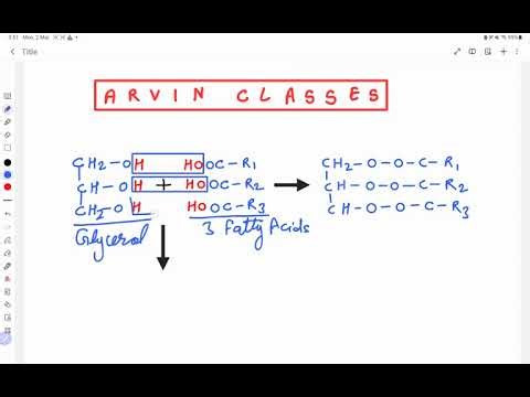 Formaion of Triglyceride | Simple lipids | Ester bond | Biomolecules