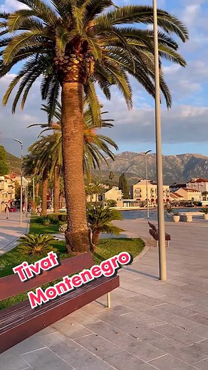 TIVAT, Apartments on TikTok