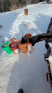 14K views · 140 reactions | Filling up the freezer with raw meat for our sled dogs. Sprint racing sled dogs have high metabolisms and require a high calorie diet. Raw meat is the best for them. #workingdog #mushing #dogs #rawmeat | Endurance Kennels LLC | Facebook