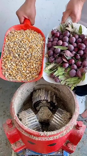 Feed pellets making machine #feed #chaffcutter #fyp #feedmakingmachine #strawcrusher #cattlefeed #sheepfeed #pigfeed #chickenfeed #strawcrushermachine #Graincrusher #woodcrusher #woodgrinder