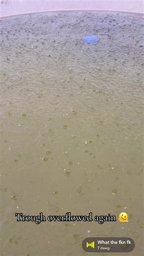 airsbeach02 (@airsbeach02)’s videos with original sound - airsbeach02