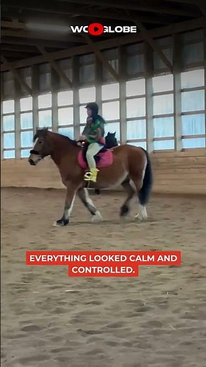 Horse Rider Fall Funny Unexpected Equestrian Fail | WooGlobe