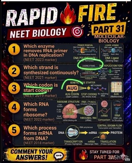 NEET 2026 Biology 🚨 MOST IMPORTANT Questions | Only 1% Can Get 5/5! #Shorts