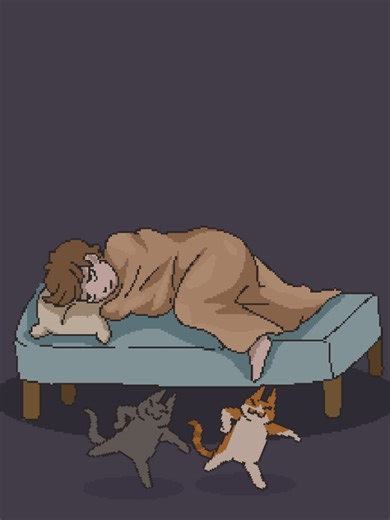 Dormir: ¿Un lujo en la vida de un gato?