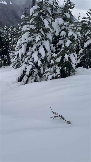 POV Coyote Run Mid-Run View | Whistler Blackcomb #Ski & #Snowboard #snowboarding #snowboardseason