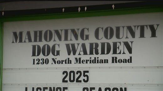 When and where to renew your dog's license