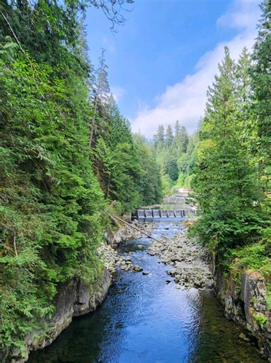 Exploring Cleveland Dam: Nature Walk and Forest Vibes