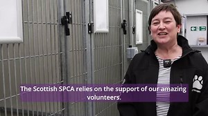 1.3K views · 23 reactions |  Whether you have a little or a lot of time to give, we currently offer 30 different volunteering roles across Scotland so there really is something to suit everyone. Hear from volunteers Geraldine, Fiona, Sue and Ron on why volunteering with Scotland’s animals might be for you! Become a volunteer here: https://bit.ly/42wHYZo | Scottish SPCA | Facebook
