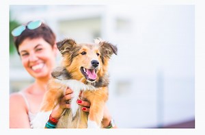 Dogs years to human years – How to determine how old your dog is (2021)