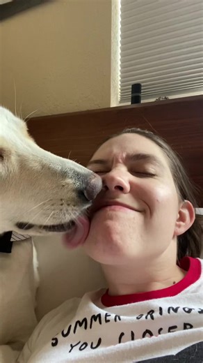 Another episode of Astrid Songz #astridsongz #dogsofttiktok #germanshepherd #swissshepherd #originalsong