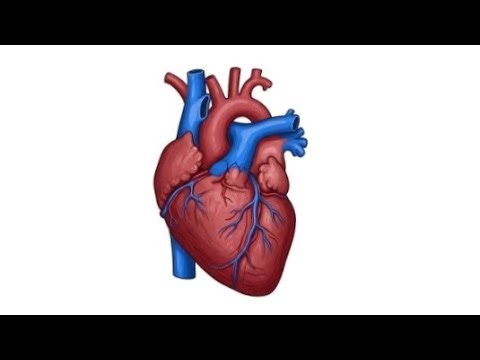 Paradoxical embolism