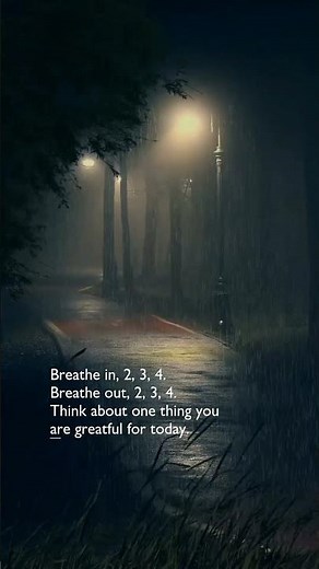 Rain Sounds and Reflection #mindfulpresence #rainsounds #reflection #breathing #breathwork #breathe