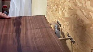 Modern Live Edge Floating Shelf With Hidden Metal Brackets / Natural Solid Wood - Etsy